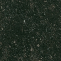 Belgisch-Granit-geraeumige-arbeitsplatten-Belgisch-Granit