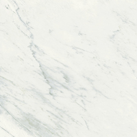 Premium-White-geraeumige-arbeitsplatten-Premium-White