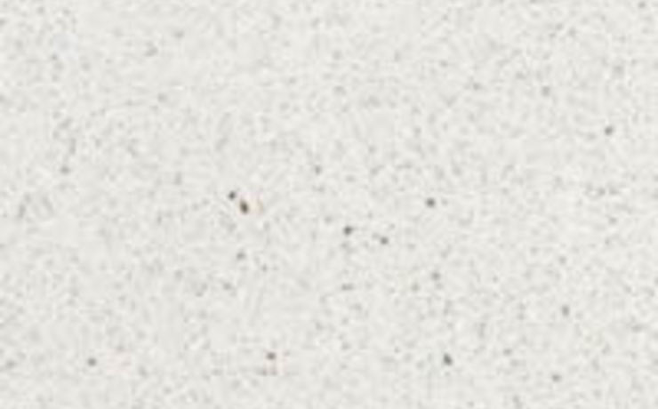 Marmor Arbeitsplatte Marmor Arbeitsplatte - Bianco Carrara kunstharzgebunden