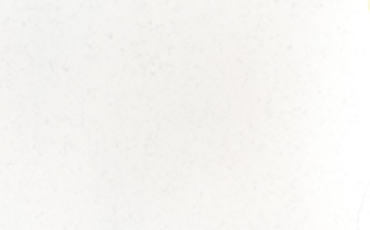 Silestone Arbeitsplatten und Rückwände Silestone Arbeitsplatten und Rückwände - Miami Vena