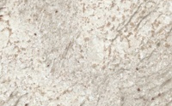 Granit Arbeitsplatten Granit Arbeitsplatten -